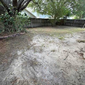 Leaf Removal by Haywood Handyman- Lawncare reviewed on July 2, 2026