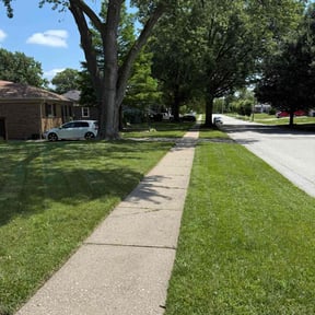 yard work by ALL STAR LANDSCAPING LLC reviewed on August 21, 2025