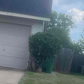 Bush Trimming by Green City Landscaping Co LLC reviewed on August 17, 2025