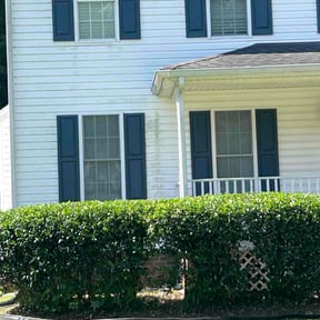 Bush Trimming by Tim's Discount Lawn reviewed on June 9, 2026