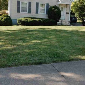 Bush Trimming by J5 Lawn Care reviewed on April 24, 2026