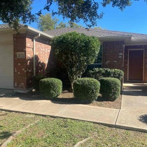 Bush Trimming by Greene Enterprise reviewed on October 24, 2025