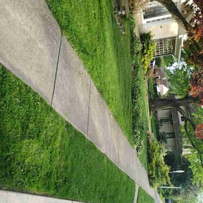 grass cutting by Philly Lawn Care reviewed on June 18, 2025