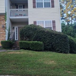 Bush Trimming by Meridian Management Group LLC reviewed on August 21, 2025