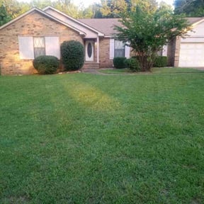 grass maintenance by L&S Lawn Pros reviewed on May 21, 2025