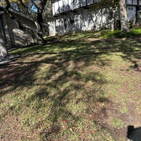 Leaf Removal by 3D Jayson Jr Grading &amp;Lawncare reviewed on September 28, 2025