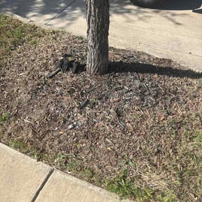 Flower Bed Weeding by KG Grounds reviewed on March 28, 2026