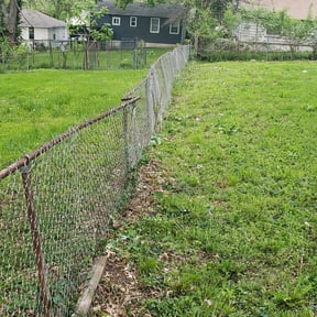 Bush Trimming by Paragon Property Services, LLC reviewed on August 16, 2025