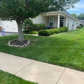 yard service by 4 Seasons Lawn care service reviewed on August 19, 2025