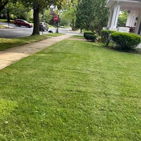 gardening service by Mackie’s Lawn Care &amp; Handyman Service reviewed on August 20, 2024