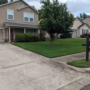 landscaping services by Beauty of nature reviewed on August 19, 2025