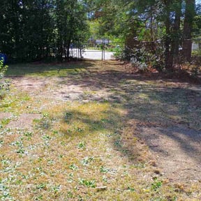 Leaf Removal by Level Up Landscaping LLC reviewed on June 6, 2026