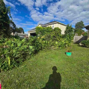 grass maintenance by Lithium lawn care services LLC reviewed on August 14, 2025