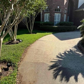 grass maintenance by Integrity Lawn Care reviewed on August 17, 2025