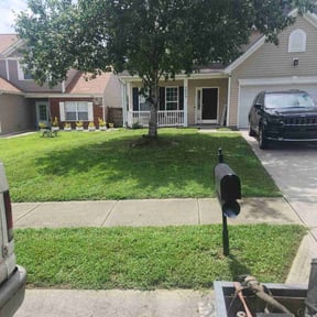 yard care by Envirogreen Central Inc reviewed on November 19, 2025