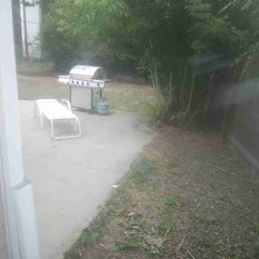 Bush Trimming by Myles And Son’s reviewed on December 8, 2025