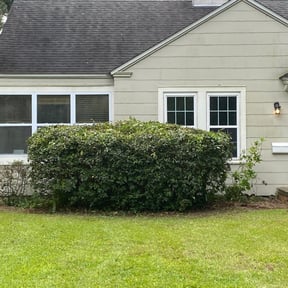 Bush Trimming by Masters Touch Outdoor Services LLC reviewed on August 20, 2025