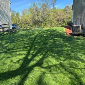 landscaping services by Ninja Landscaping reviewed on August 20, 2025