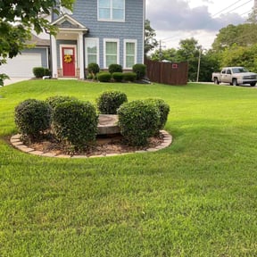 landscaping services by Ezlycut landscaping reviewed on August 20, 2025