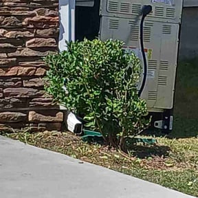 Bush Trimming by TURFPRO reviewed on December 4, 2025