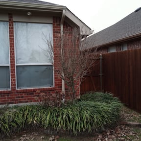 Bush Trimming by Hope Lawn Care reviewed on August 15, 2025