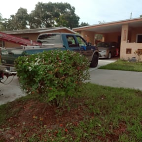 Bush Trimming by WhaleyScapes lawn services reviewed on August 19, 2025