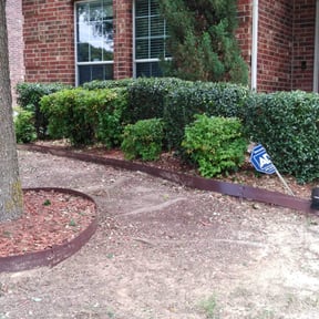 Bush Trimming by Kleinys  Lawncare reviewed on August 21, 2025