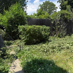 Bush Trimming by Vision Pool Services and Landscaping reviewed on August 21, 2025