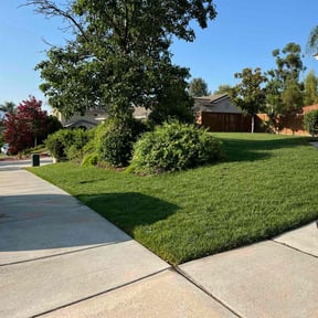 yard work by Bell Services reviewed on August 15, 2025