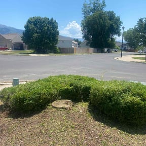 Bush Trimming by Glatfelter Property Services reviewed on August 15, 2025