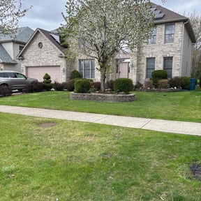 landscaping by Active Lawn Care & Landscapes reviewed on August 20, 2025