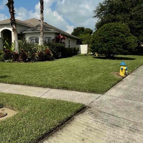 yard service by Up2Date Management Service's LLC.., reviewed on February 18, 2026