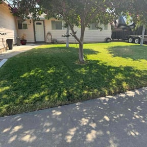 yard care by Lybrand's Lawn Maintenance reviewed on August 16, 2025