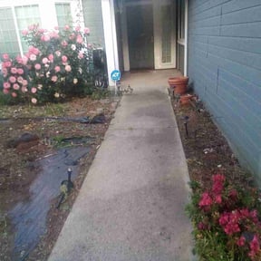 Bush Trimming by Reds Lawn and Lanscaping reviewed on August 20, 2025