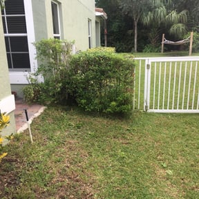 Bush Trimming by Deactivated reviewed on August 20, 2025