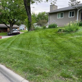 landscape maintenance by Anton Lawn Care reviewed on August 19, 2025