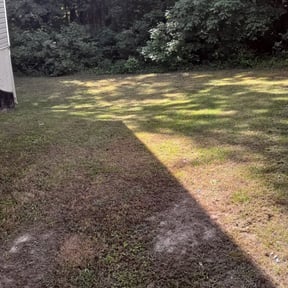 Bush Trimming by MillCreek Lawn Care reviewed on August 15, 2025
