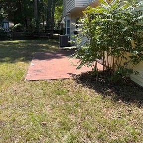 Leaf Removal by Katie's care reviewed on June 20, 2026