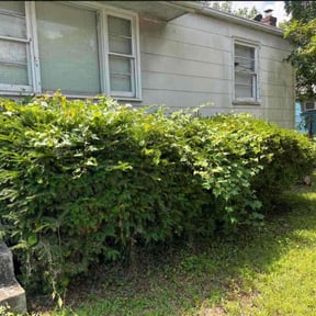 Bush Trimming by Maltos Landscaping LLC reviewed on November 10, 2025