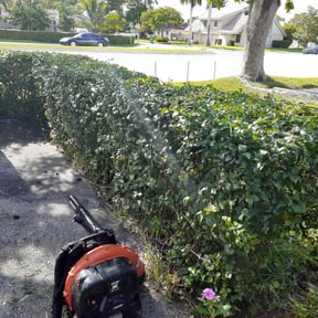 Bush Trimming by EZ MOW LAWN CARE reviewed on August 21, 2025