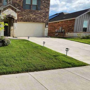 residential landscaping by Sinaí Tree and lawn care expertsI hope to soon be able to help you with your garden or with any proj reviewed on March 18, 2025