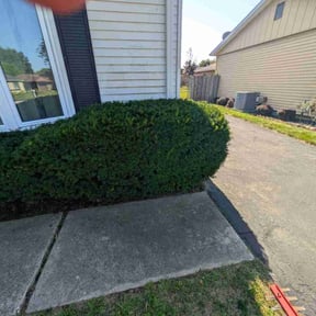Bush Trimming by Bills Lawn Care reviewed on November 5, 2025