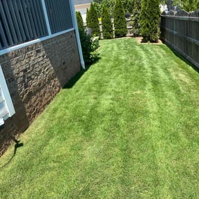 yard service by Frederickson Lawn Management reviewed on August 19, 2025