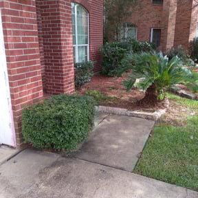 Bush Trimming by Equality Lawn Care reviewed on August 18, 2025