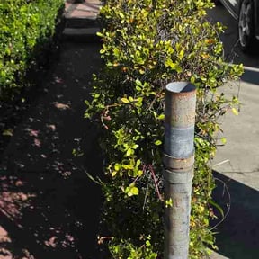 Bush Trimming by J&amp;H landscape reviewed on February 26, 2026