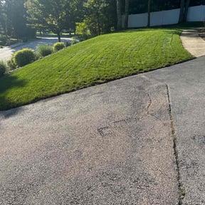 yard service by M&amp;S All Seasons Lawn Maintenance reviewed on November 23, 2025