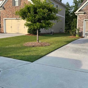 landscaping by Triple S Cuts & Cleanouts reviewed on August 20, 2025