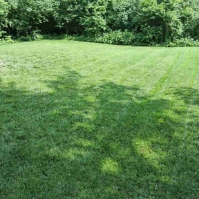 landscape maintenance by Jack Of All Trades Landscape & More/Property Preservationist reviewed on August 20, 2025