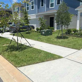 Bush Trimming by YARD M.D. LLC reviewed on August 16, 2026