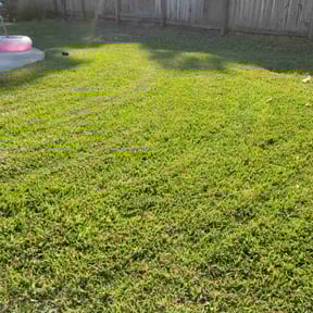 yard maintenance by nathaniel baker reviewed on August 20, 2025